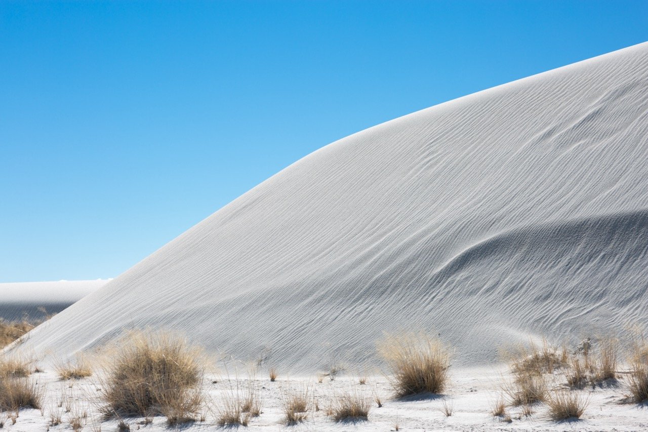 New Mexico Creative