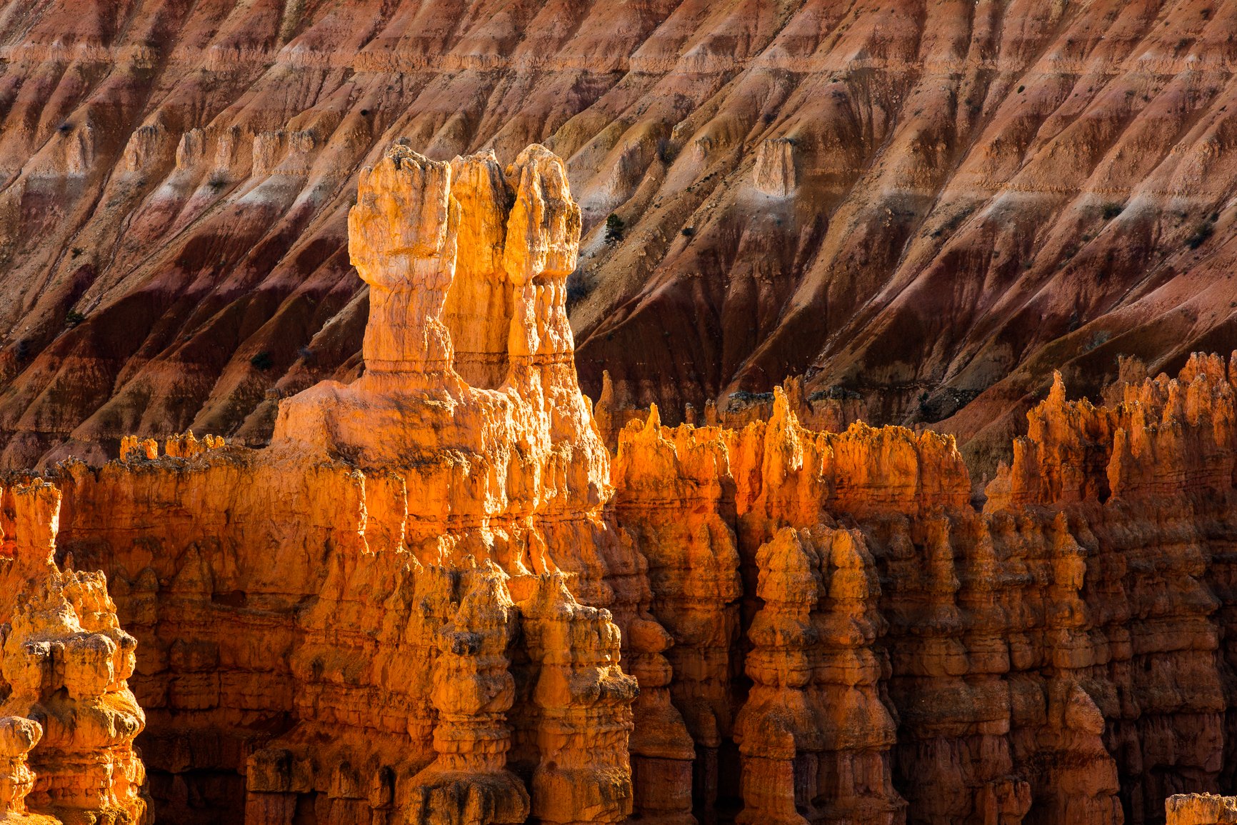 Bryce Canyon ‘26 Meetup (Inaugural)