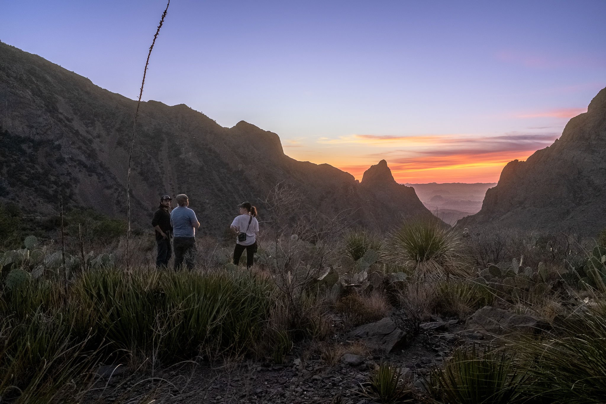 BigBend_WildCreatives_ChrisOax-081.jpg
