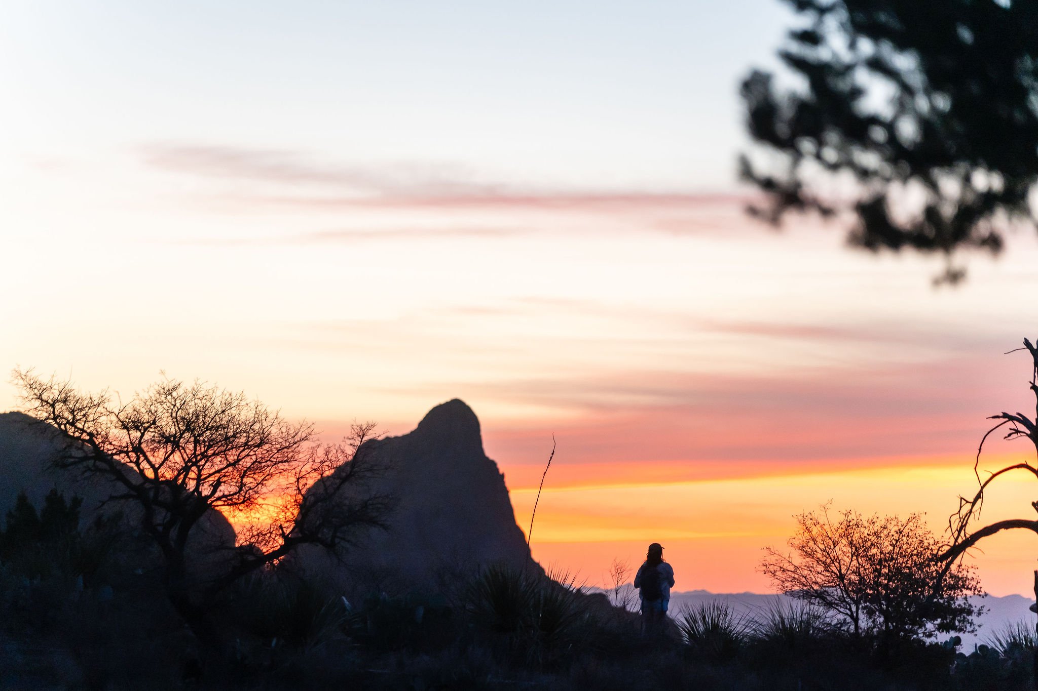 WCBigBend_04012025-76.jpg