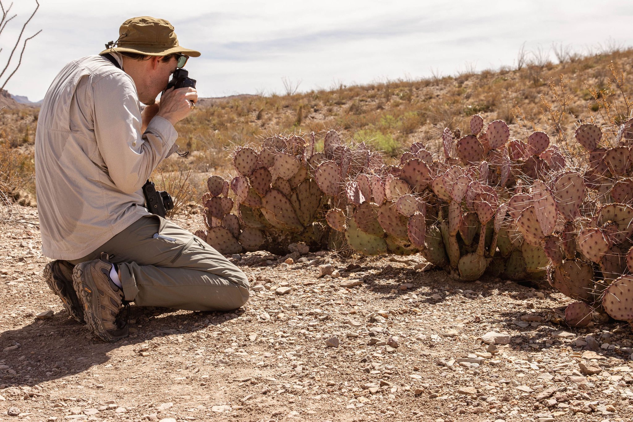 StayWild_BigBend_7.jpg