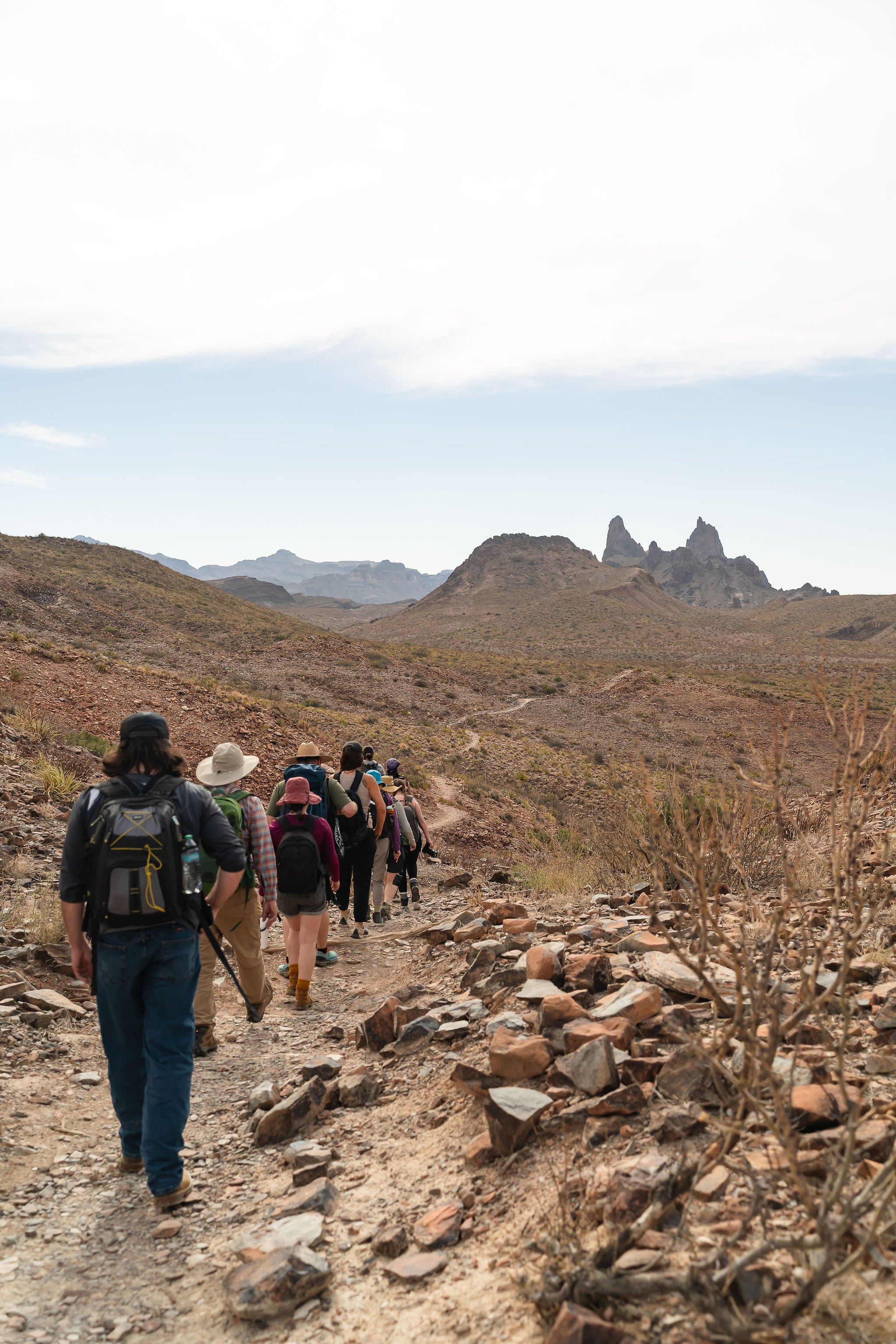 WCBigBend_04012025-11.jpg