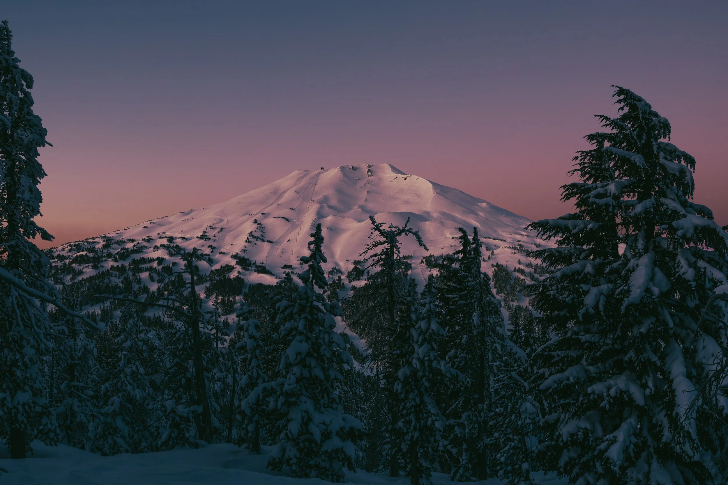 AX0A5324-Enhanced-NR.JPG