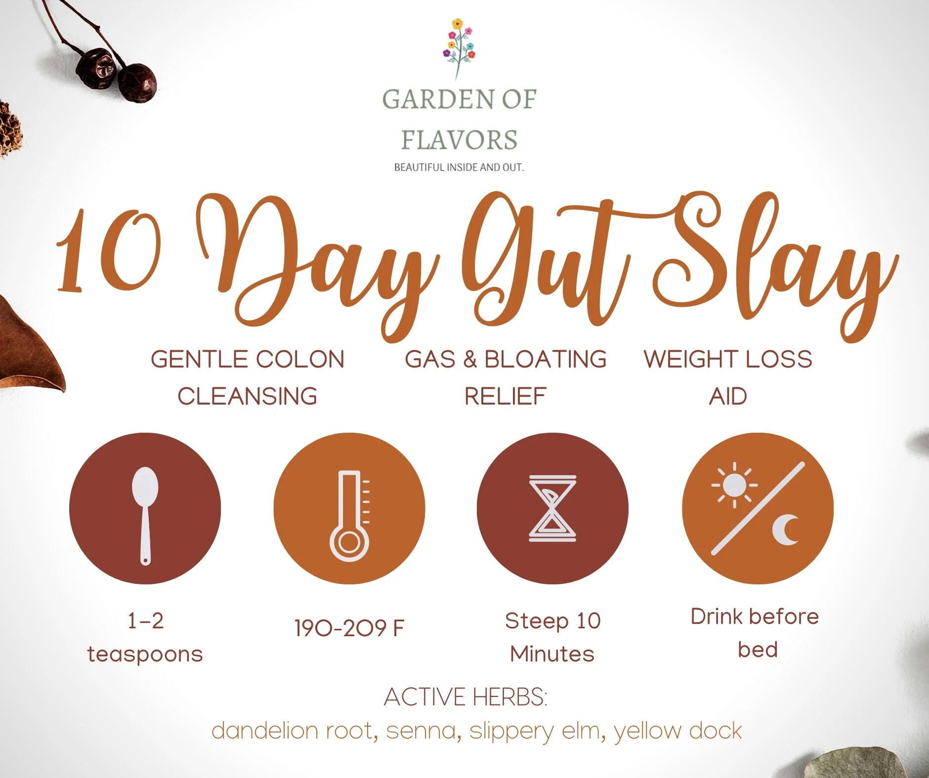 10 Day Gut Slay