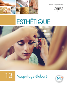 Maquillage élaboré d'esthétique Compétence 13
