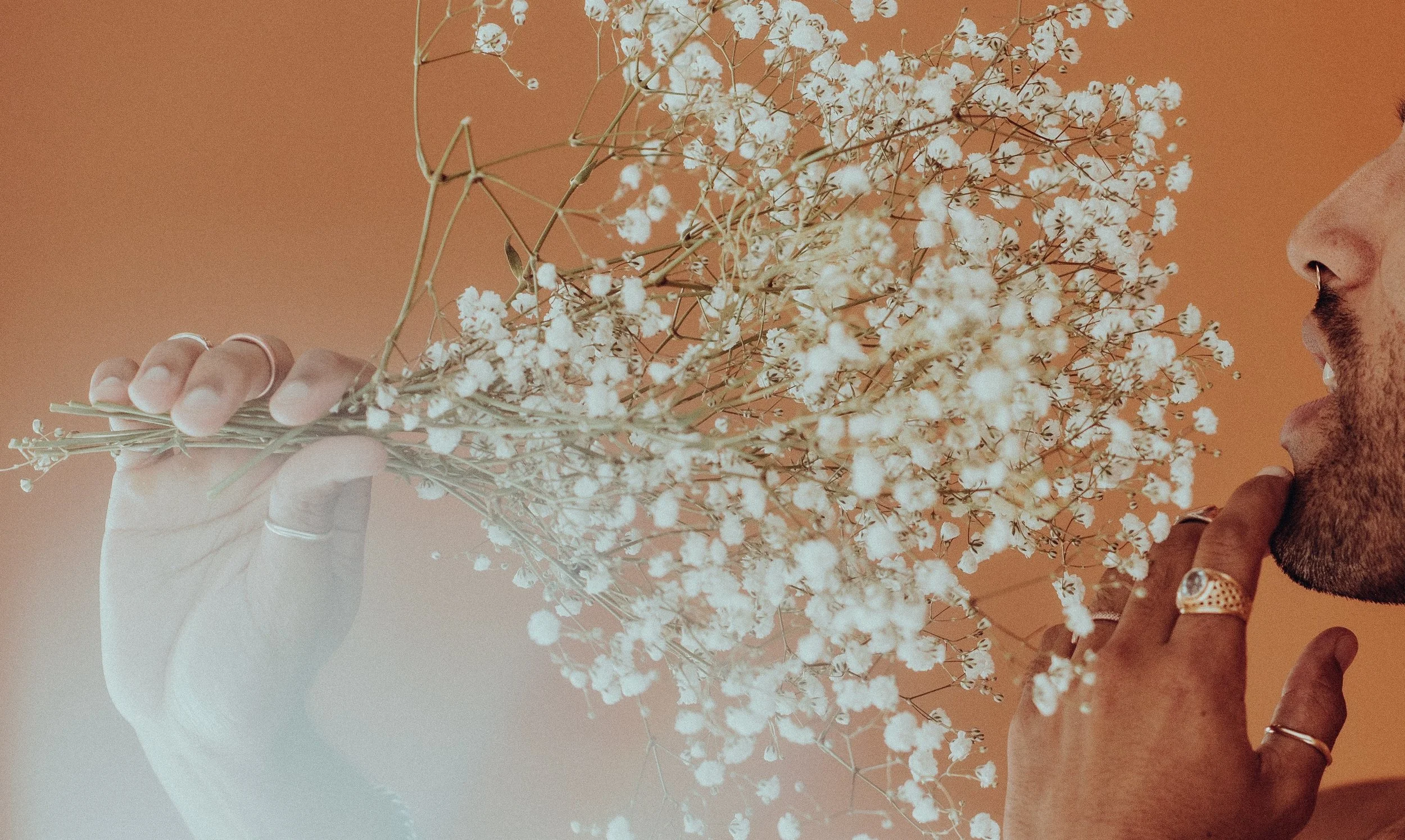 ponders photo website.jpeg