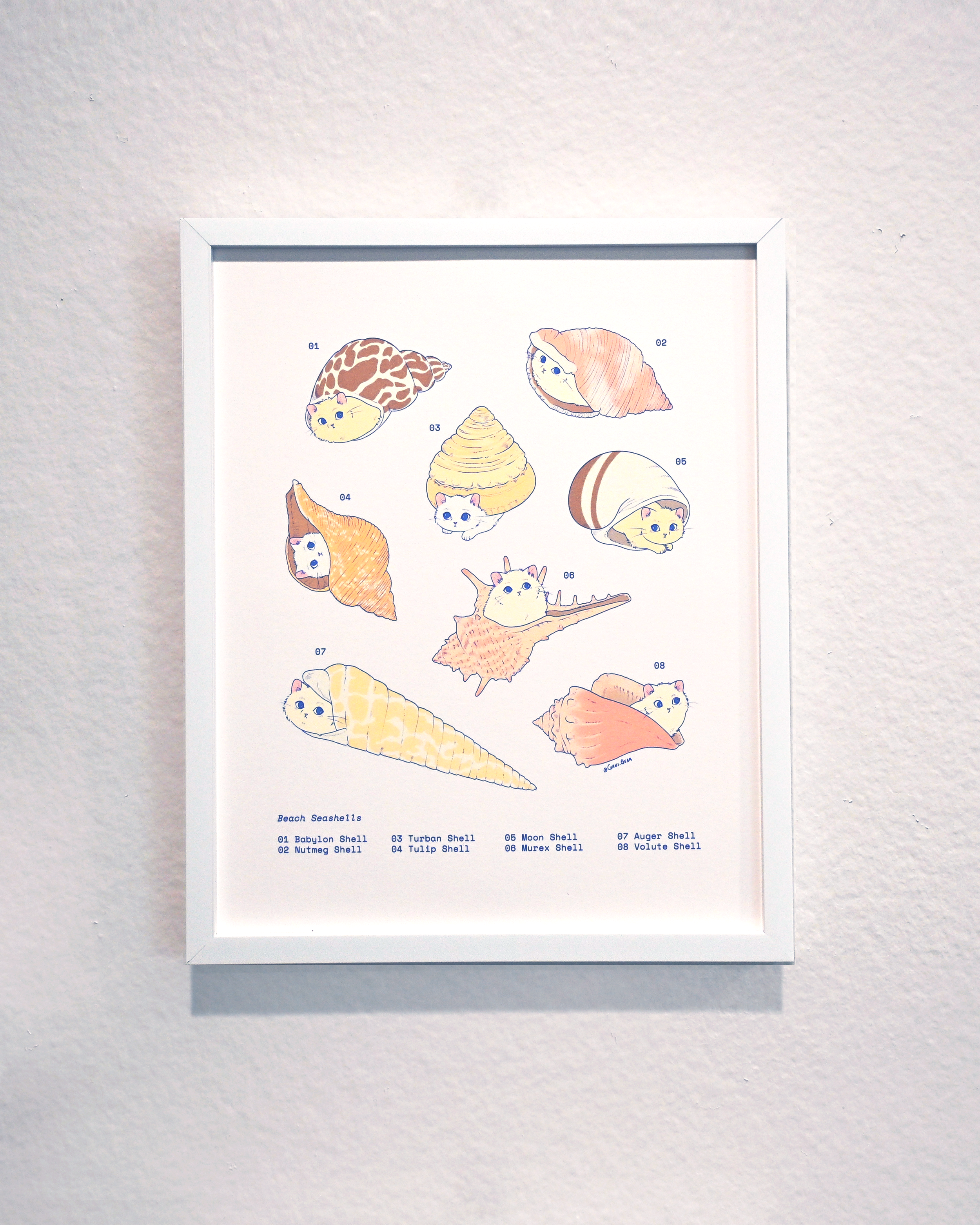 Types of Seashells (+ Cats) Print