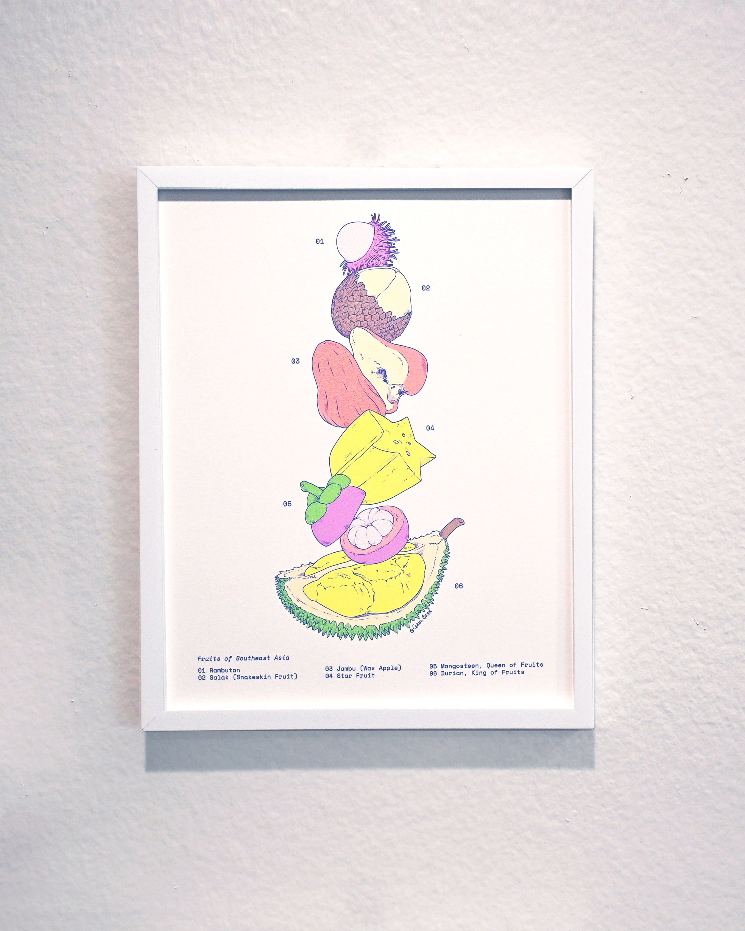 Fruits of Southeast Asia Print