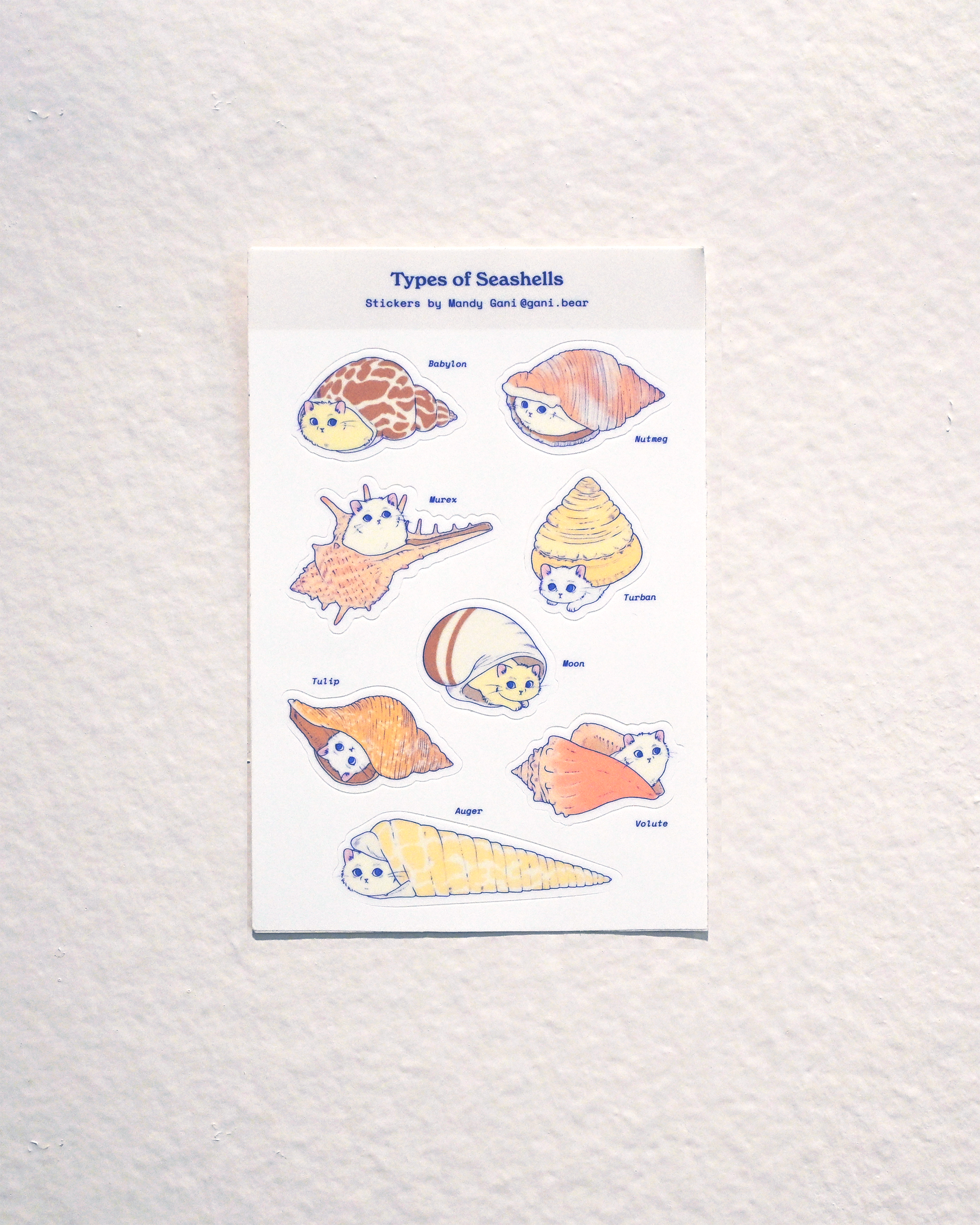 Types of Seashells (+ Cats) Sticker Sheet