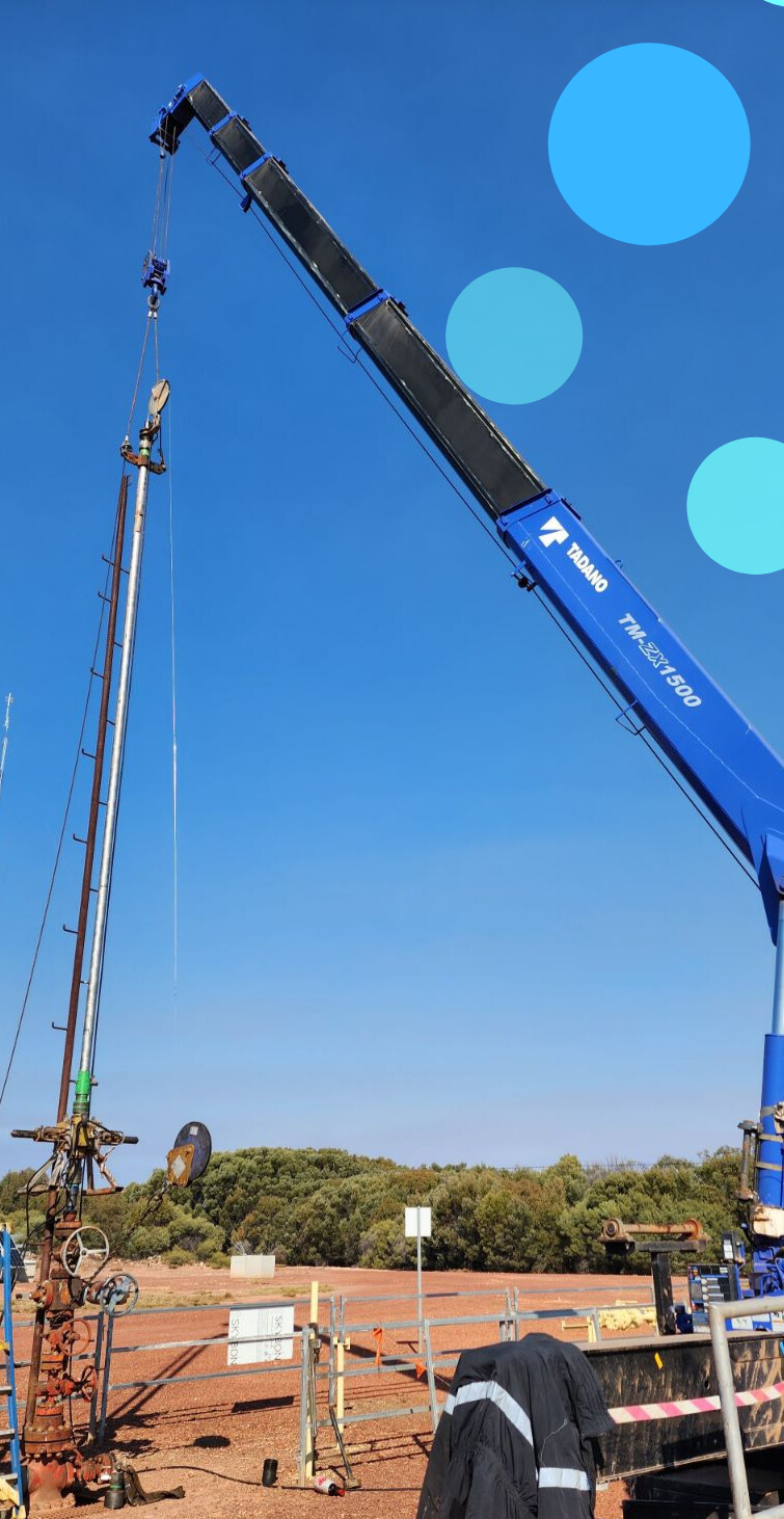 Well Integrity Management