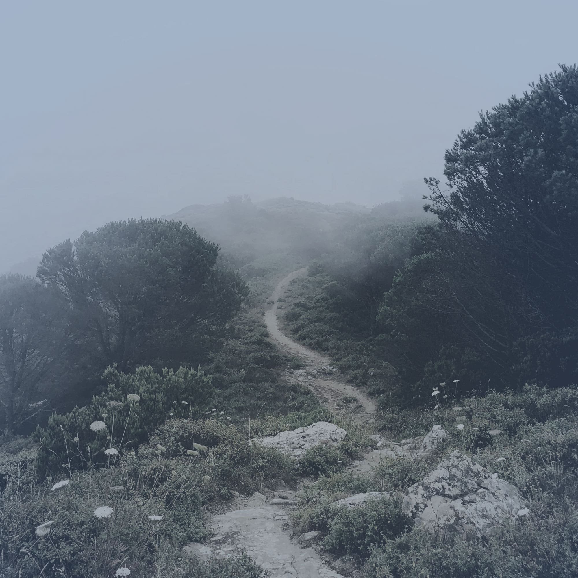 winding-misty-path-mountain-min.jpg