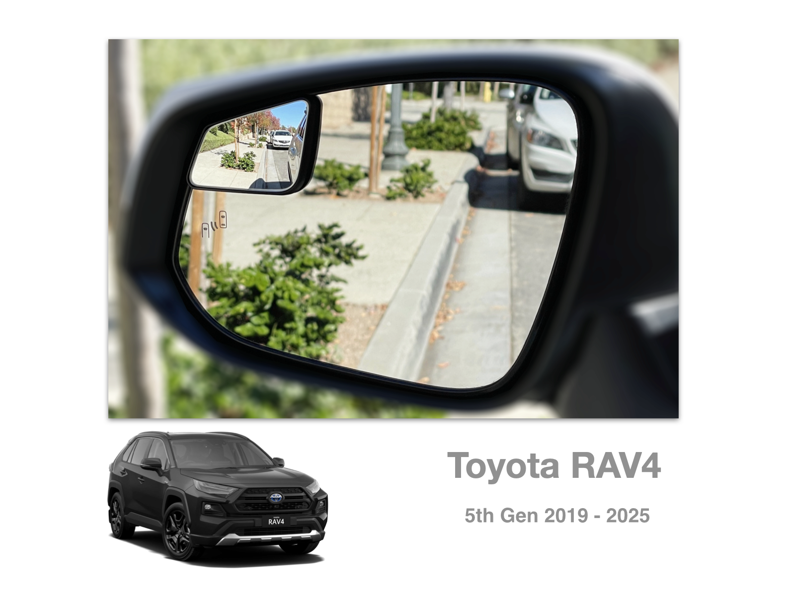RAV4.1.png