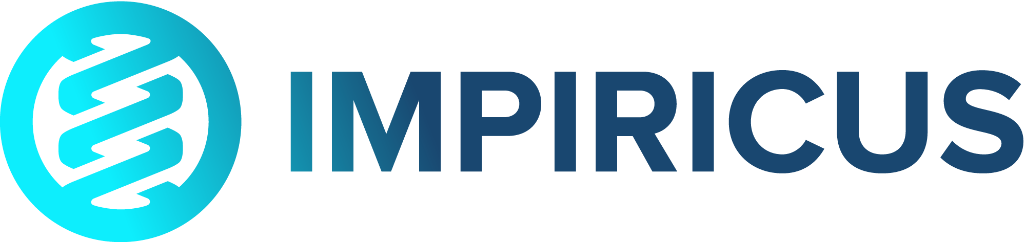 Impiricus_PrimaryLogo_Gradient_LightBackgrounds.png