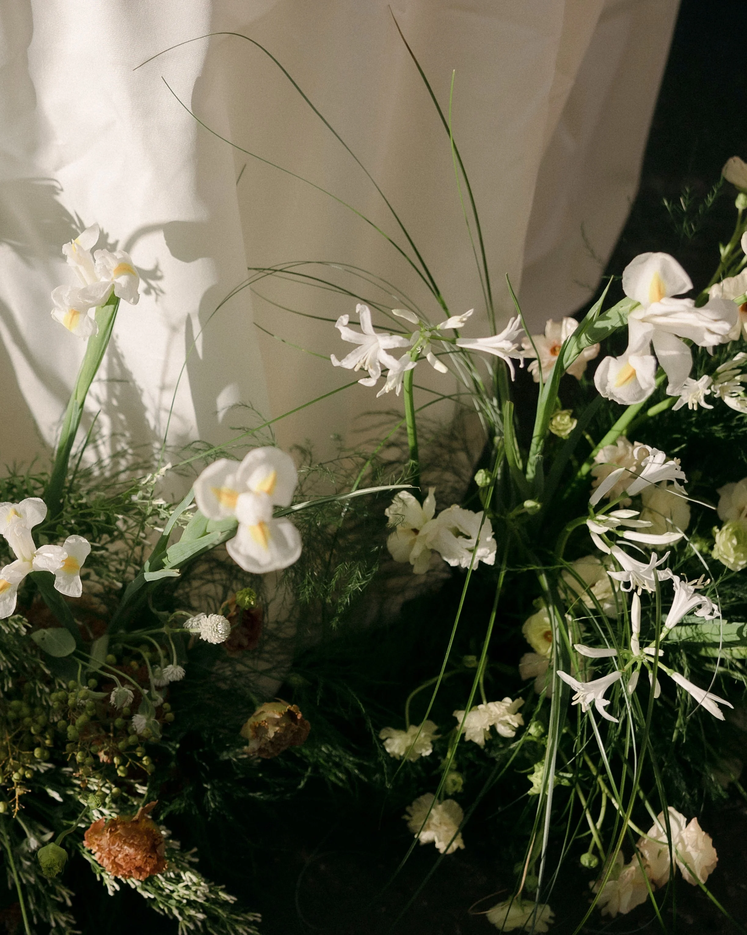 e+j w -1 .jpg