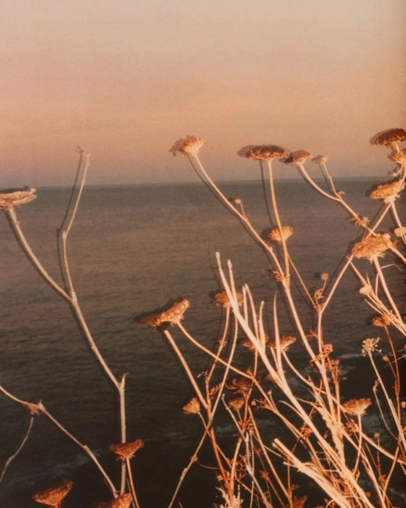 &ldquo;Always go with the choice that scares you the most, because that&rsquo;s the one that is going to help you grow.&rdquo; #carolynmyss 

Photo by Ana Cuba from her book Lloret - Last Days