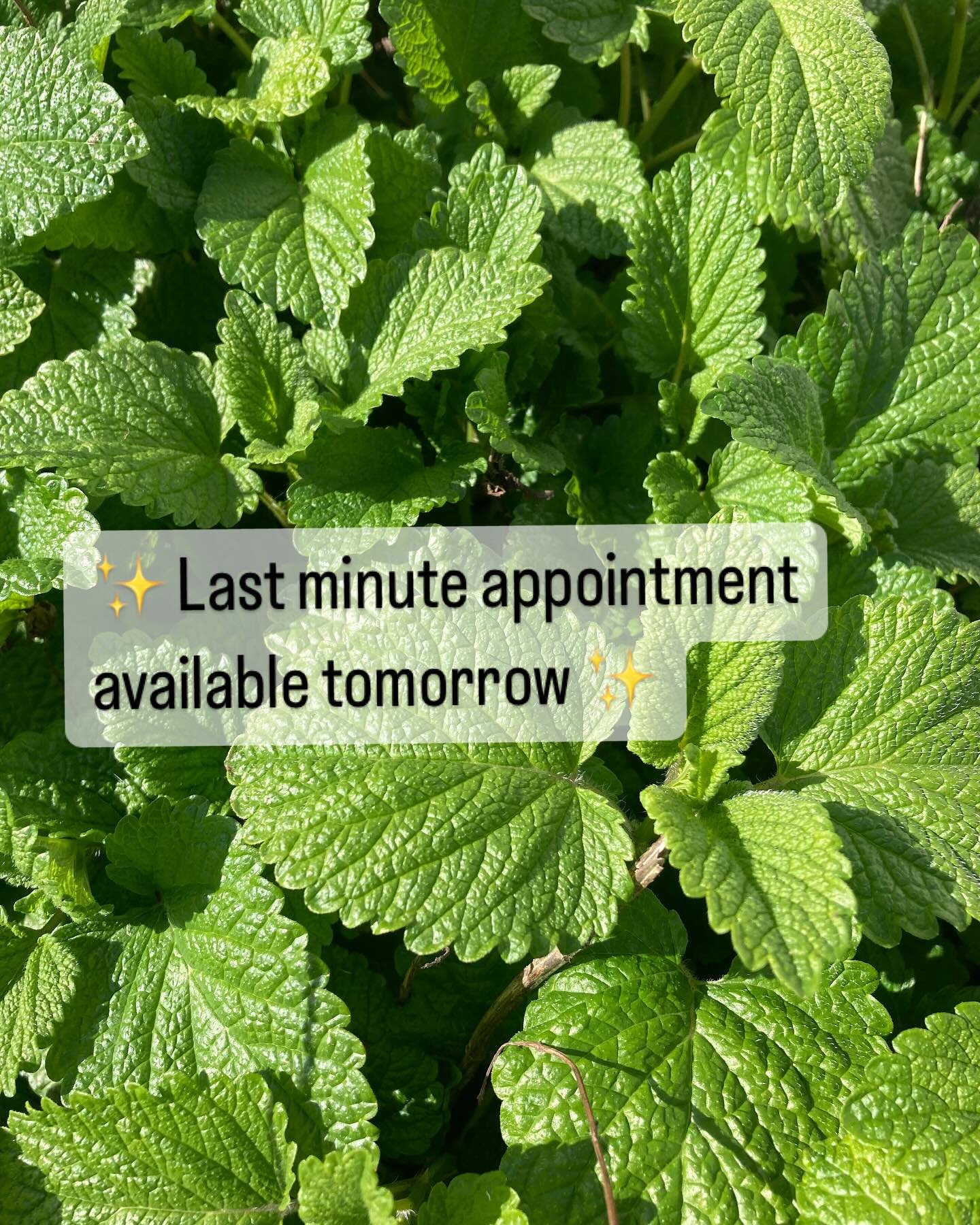 I have 1 session available tomorrow at 2pm. 
DM me or book directly through www.gaiamassagehealing.com.au 💚