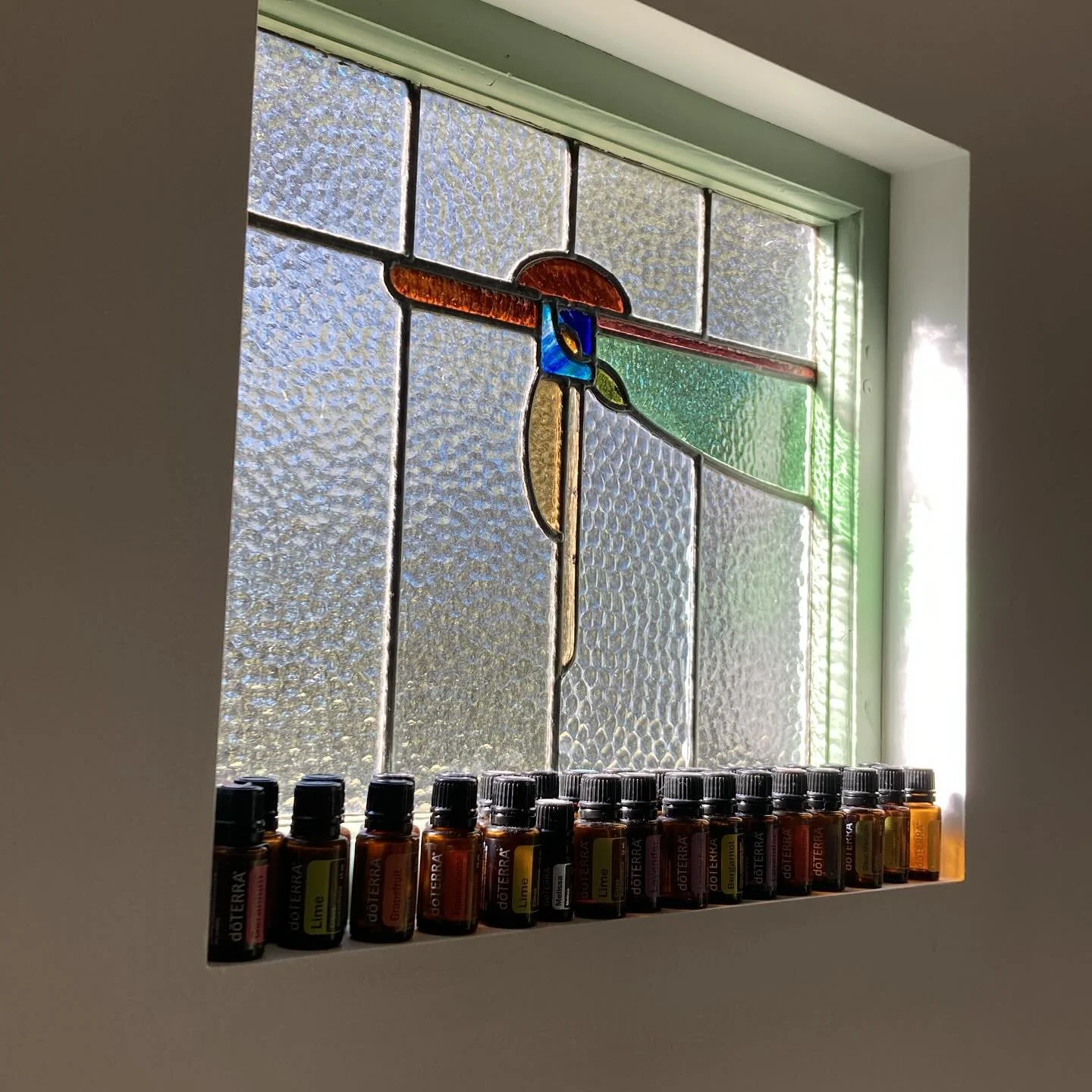 Sessions are filling up for the remainder of the year. All Saturday appointments are currently full 🙏 

I do have some scattered week day appointments available throughout November and December and due to some cancellations there is now some availab