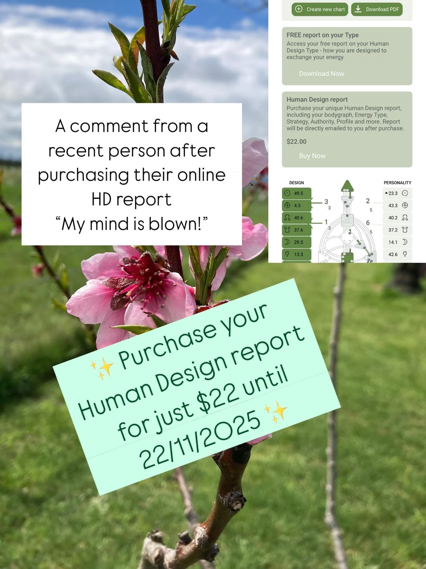 &ldquo;My mind is blown.&rdquo; 

This was just after reading about her Energy Type. She hadn&rsquo;t even got to the rest of the juicy parts! 

Head to the link in my bio to access your Human Design report 💚