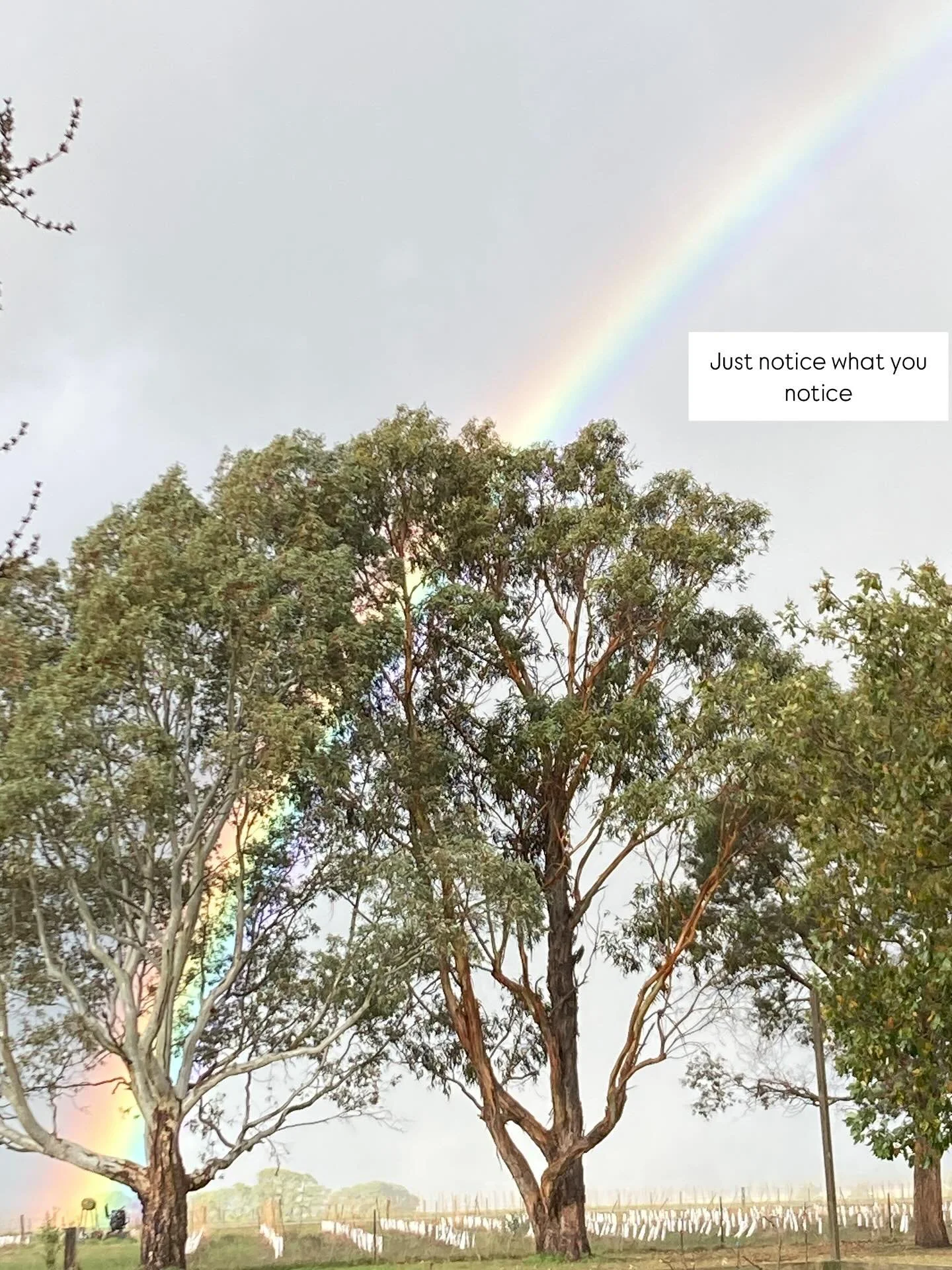 I&rsquo;ve got my Human Design report. Now what?!?

&ldquo;Honour what you notice.&rdquo;

I heard someone say this in response to where to start with your Human Design and I couldn&rsquo;t agree more with this. 

Often we come across a new tool or p