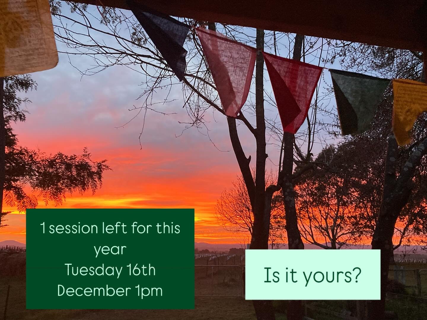 I have one session left this for year.

Tuesday 16th December at 1pm.

DM me or book directly through www.gaiamassagehealing.com.au 💚