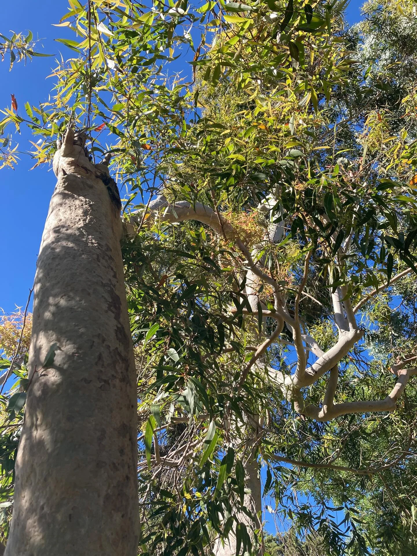 Thanks 2025 🙏 🐍✨

As I sit in this space of reflection I feel an immense amount of gratitude for all that this past year has gifted me. The highs, the lows and everything that has stretched me in between. There has been a lot of stretching!

Thank 