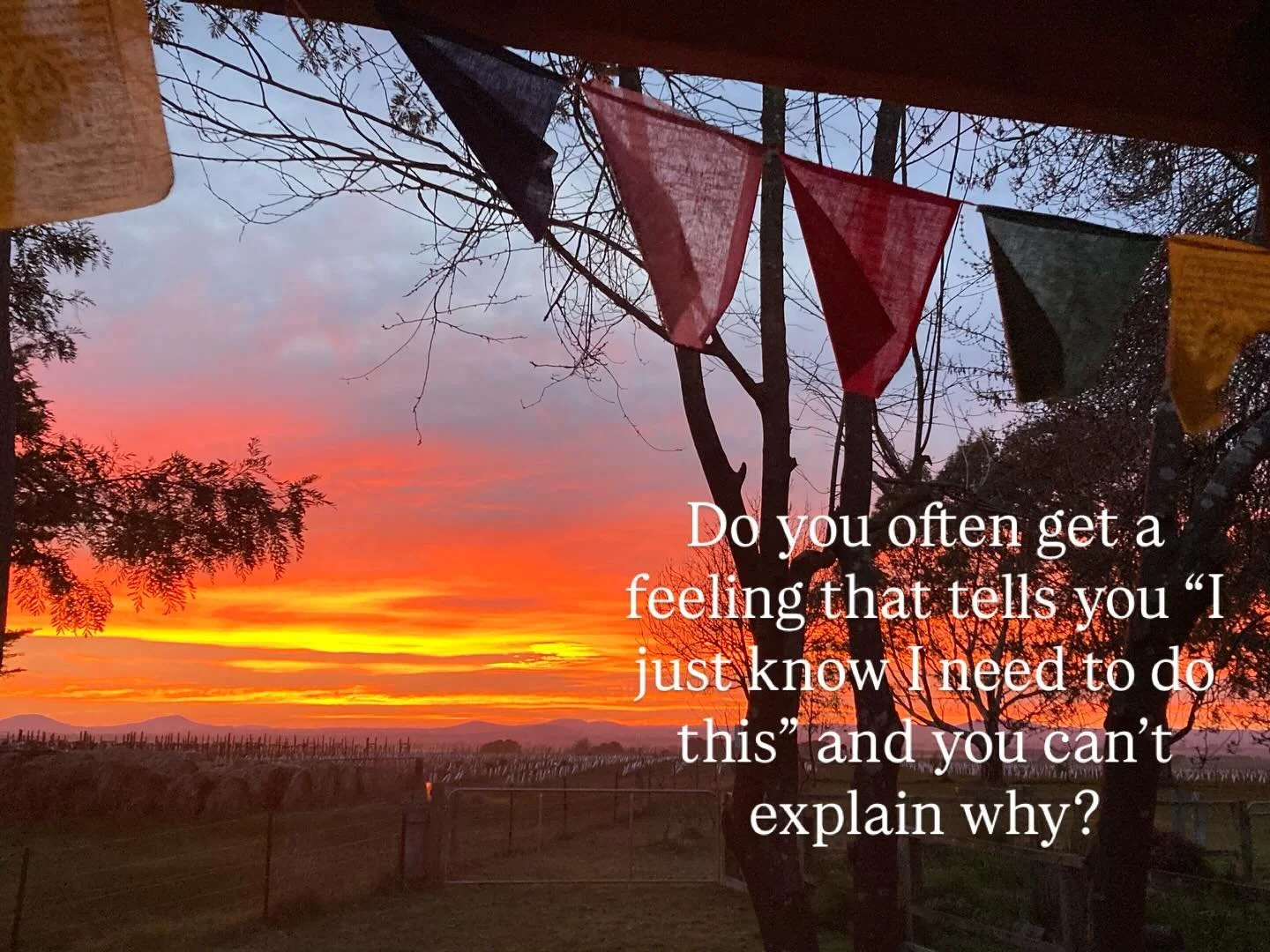 Do you often get a feeling of &ldquo;I just know&rdquo; ?

An inner knowing, that may be difficult to describe?

You may have a Splenic Authority, meaning your decisions are best guided by that quick, subtle intuitive feeling of &lsquo;just knowing&r