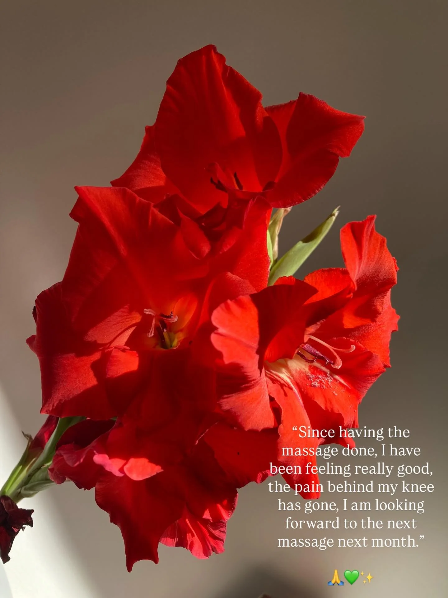 We often feel our painful and tight areas need a deep, painful treatment to release the tension. More often than not I am beautifully shocked to hear the positive results of a Lymphatic Massage. 

For something that is so incredibly gentle - so gentl