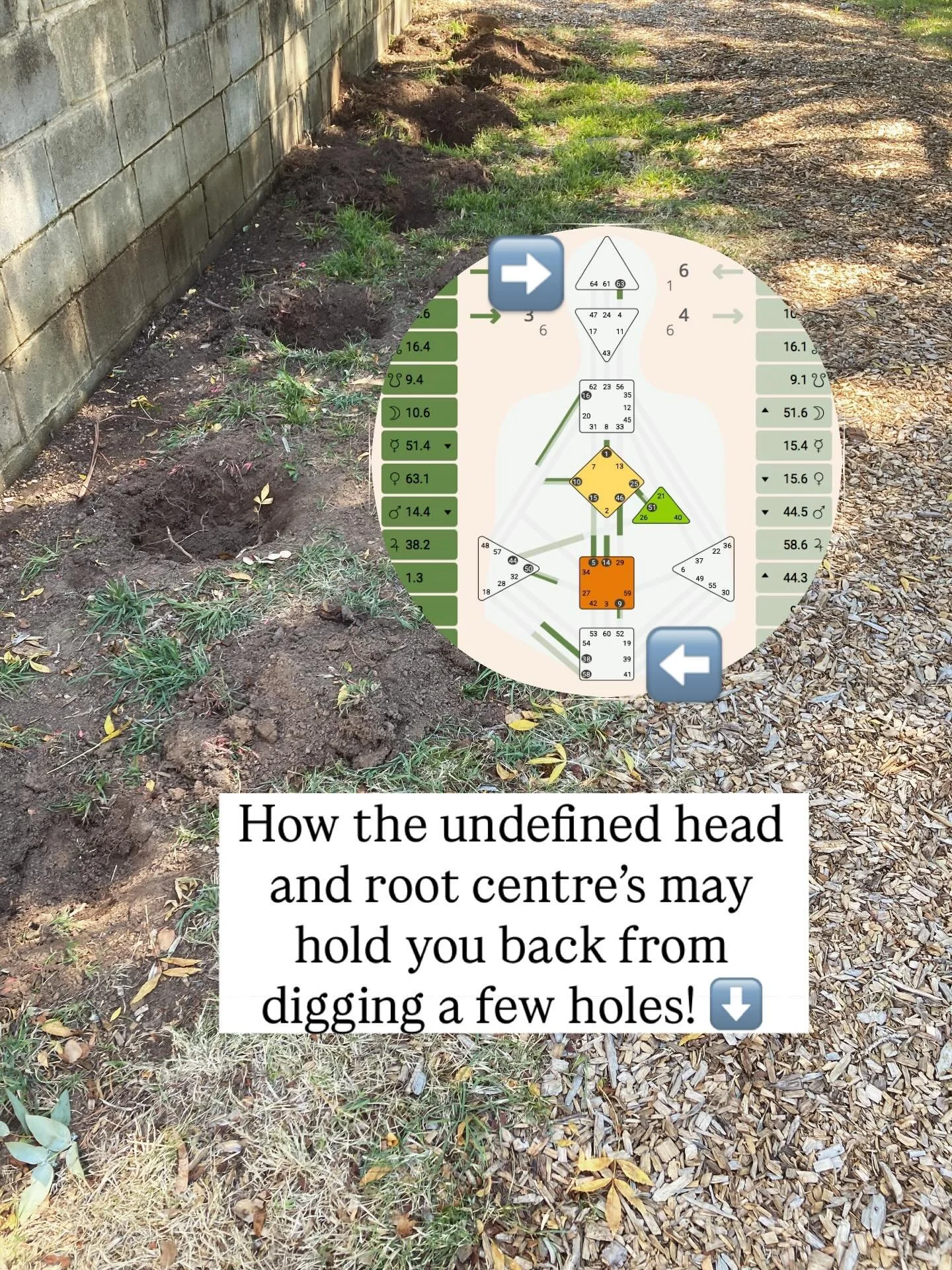 I&rsquo;ve been digging holes for some shrubs to beautify the entrance to Flo. Sprucing up the exterior of Flo has been on my mind for many months, but every time I went out to look at and feel into the area I kept feeling&hellip; blank 😳

✨ Those o