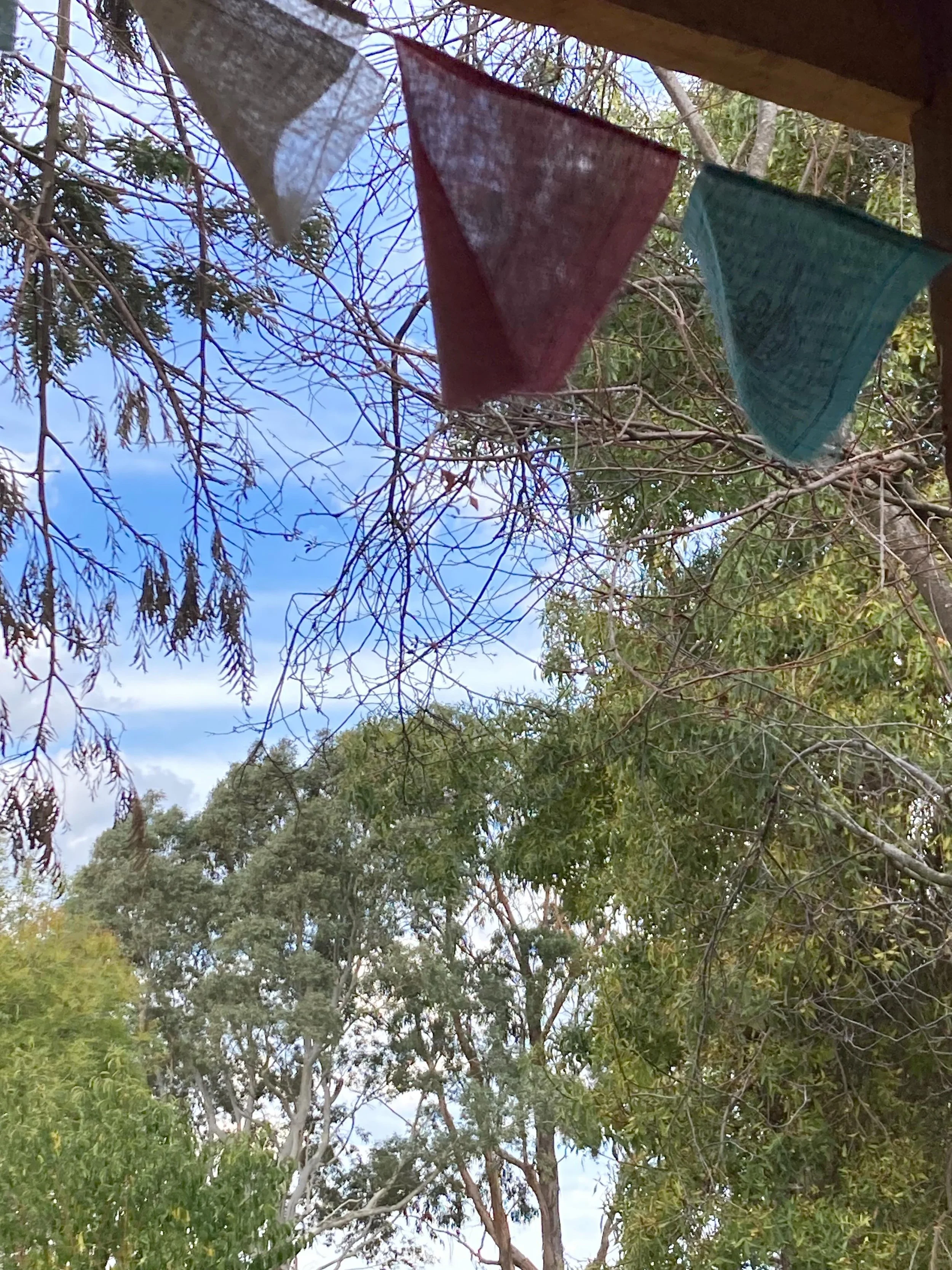 Sitting here in gratitude as I wait for the Zoom recording to convert 🙏💕✨

I had the pleasure of providing a dear friend with a reading on her Human Design today. It lights me up to see this stuff land for people 🤩

The confirmation, curiosity and