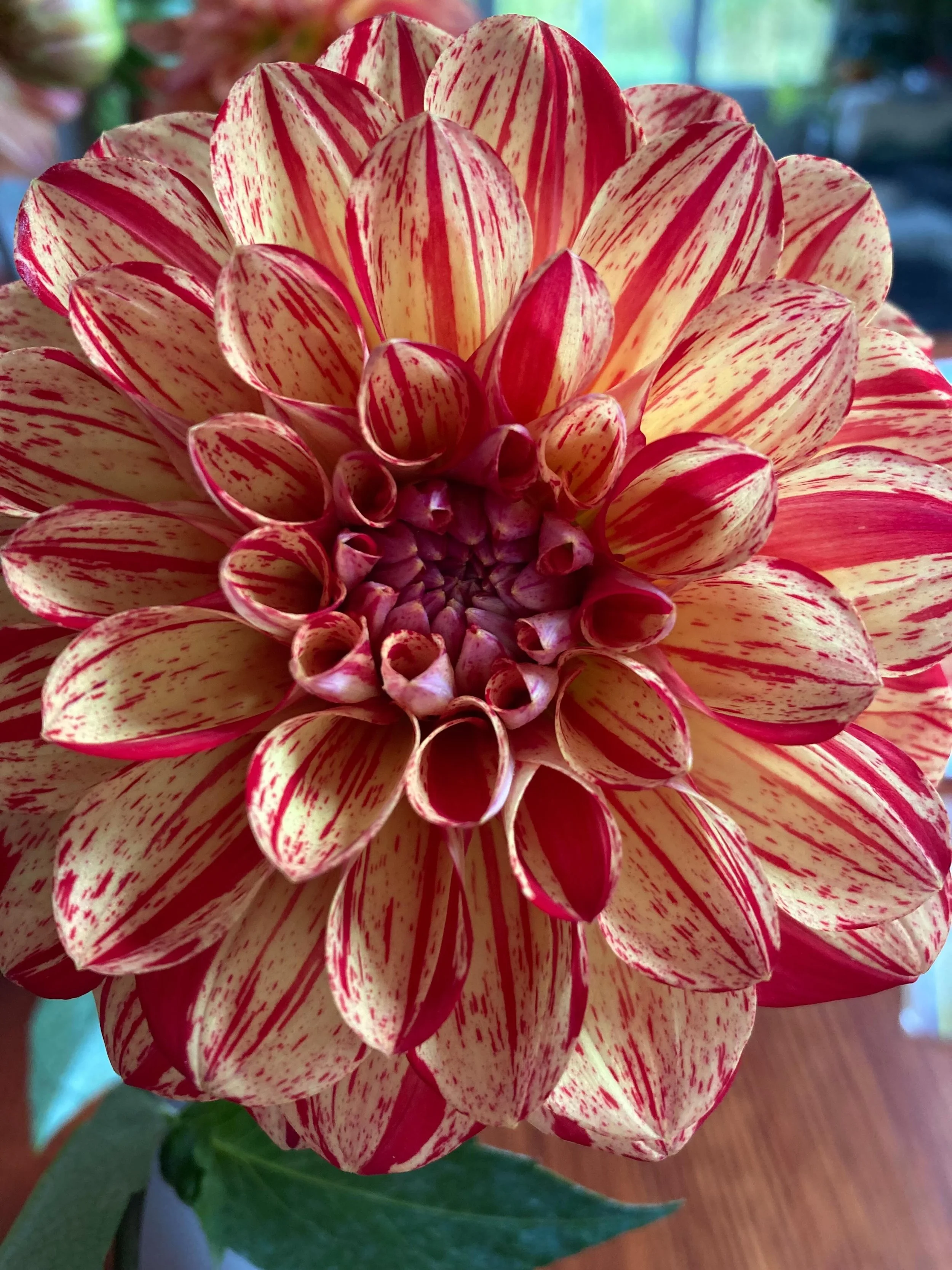 I  am grateful to have received a Lymphatic Massage myself today from the incredible Sarah @ballarat_bodysmart and what a gift it was to receive this beautiful treatment. 

Sarah mentioned that I drop in easily. I can. Now. After many, many years of 