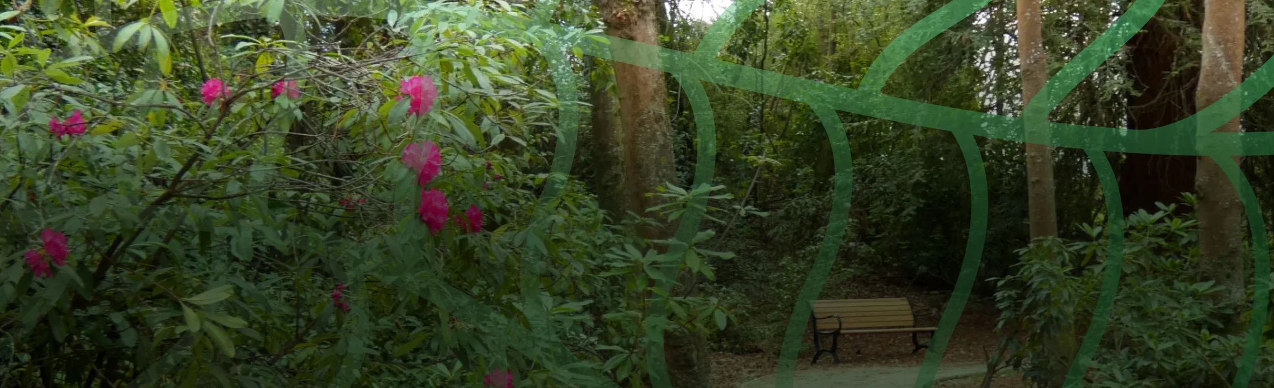 GLD Sculpture Trail banner.webp