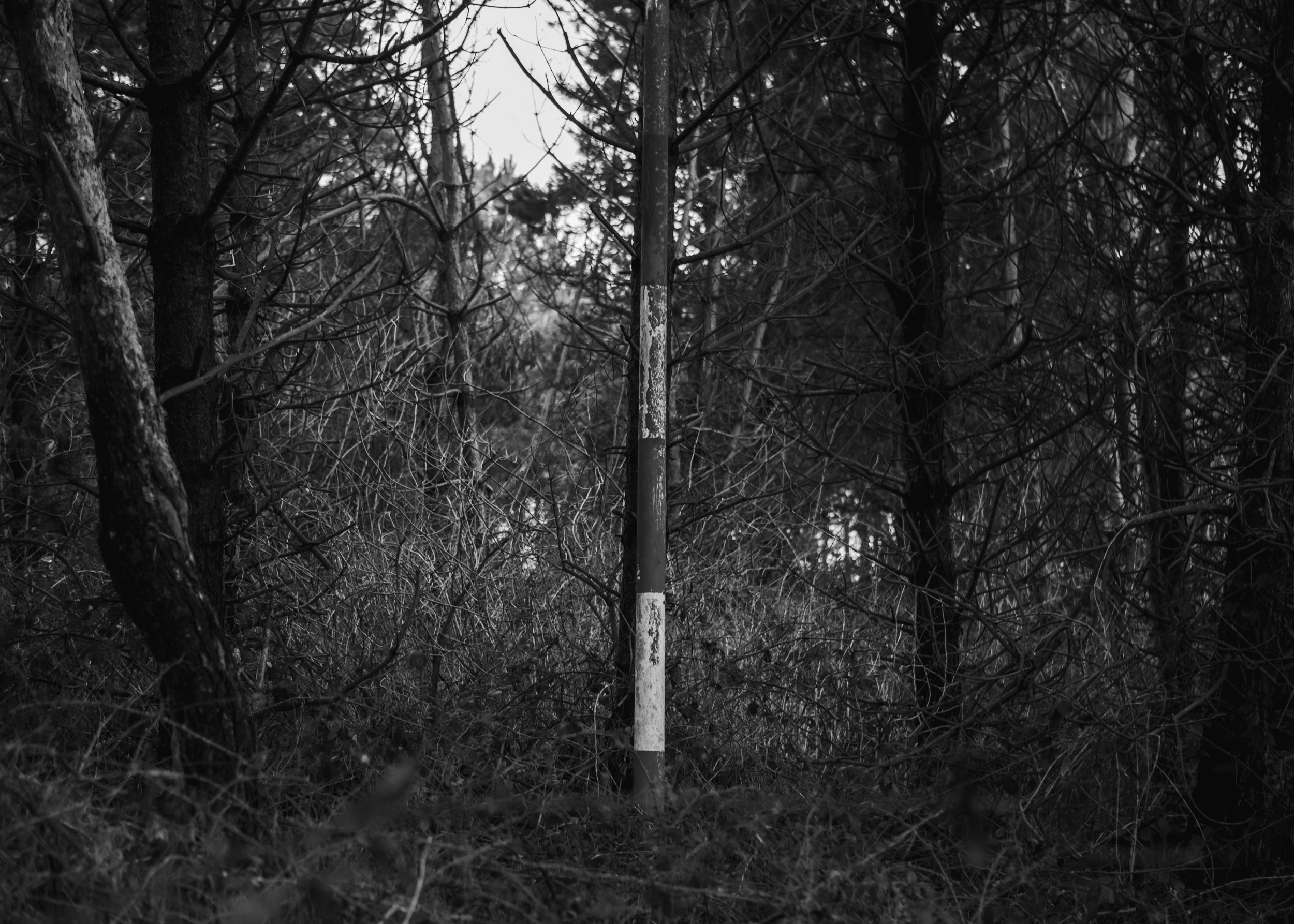 foto Una Billgren-7641.jpg