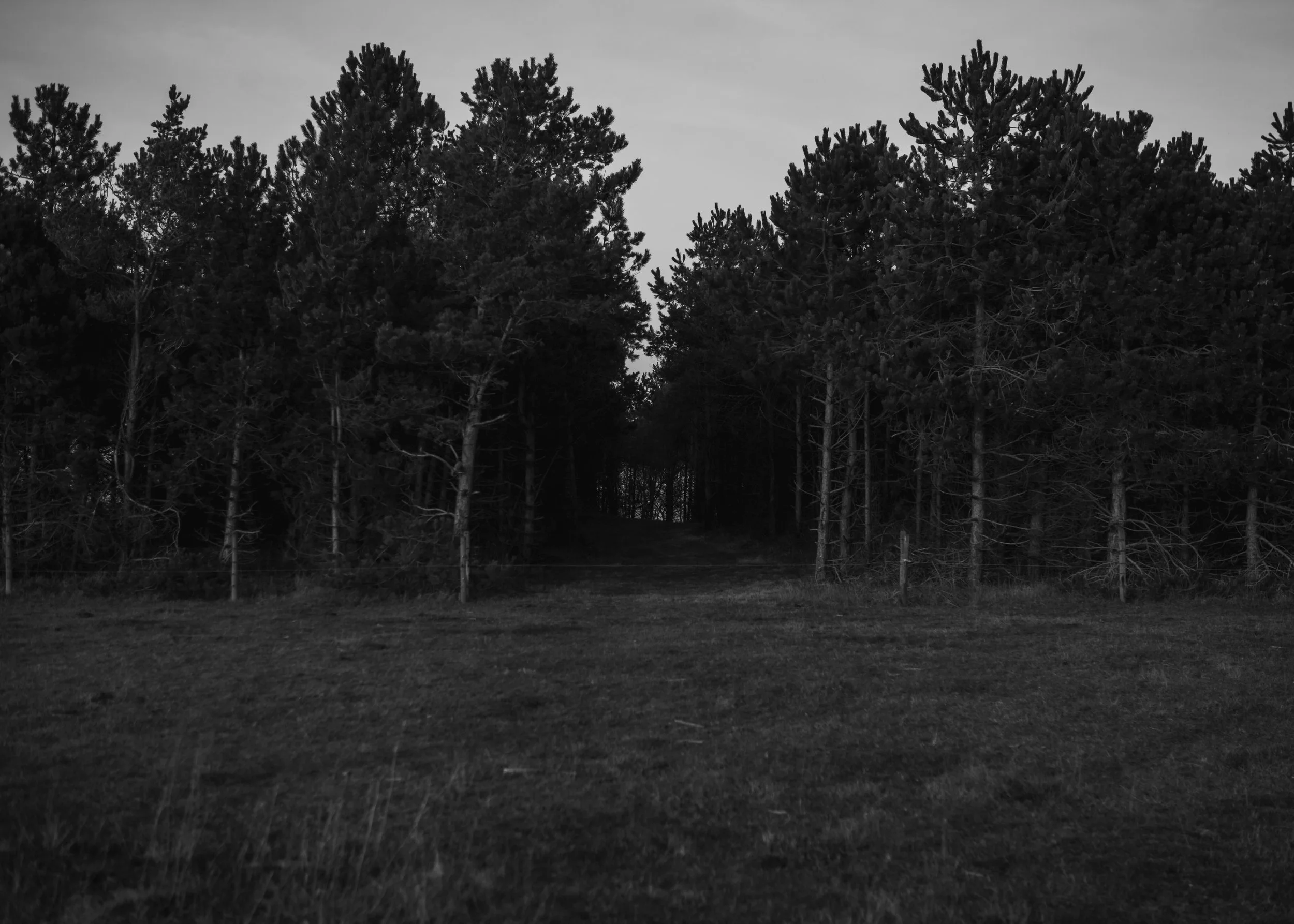 foto Una Billgren-7636.jpg