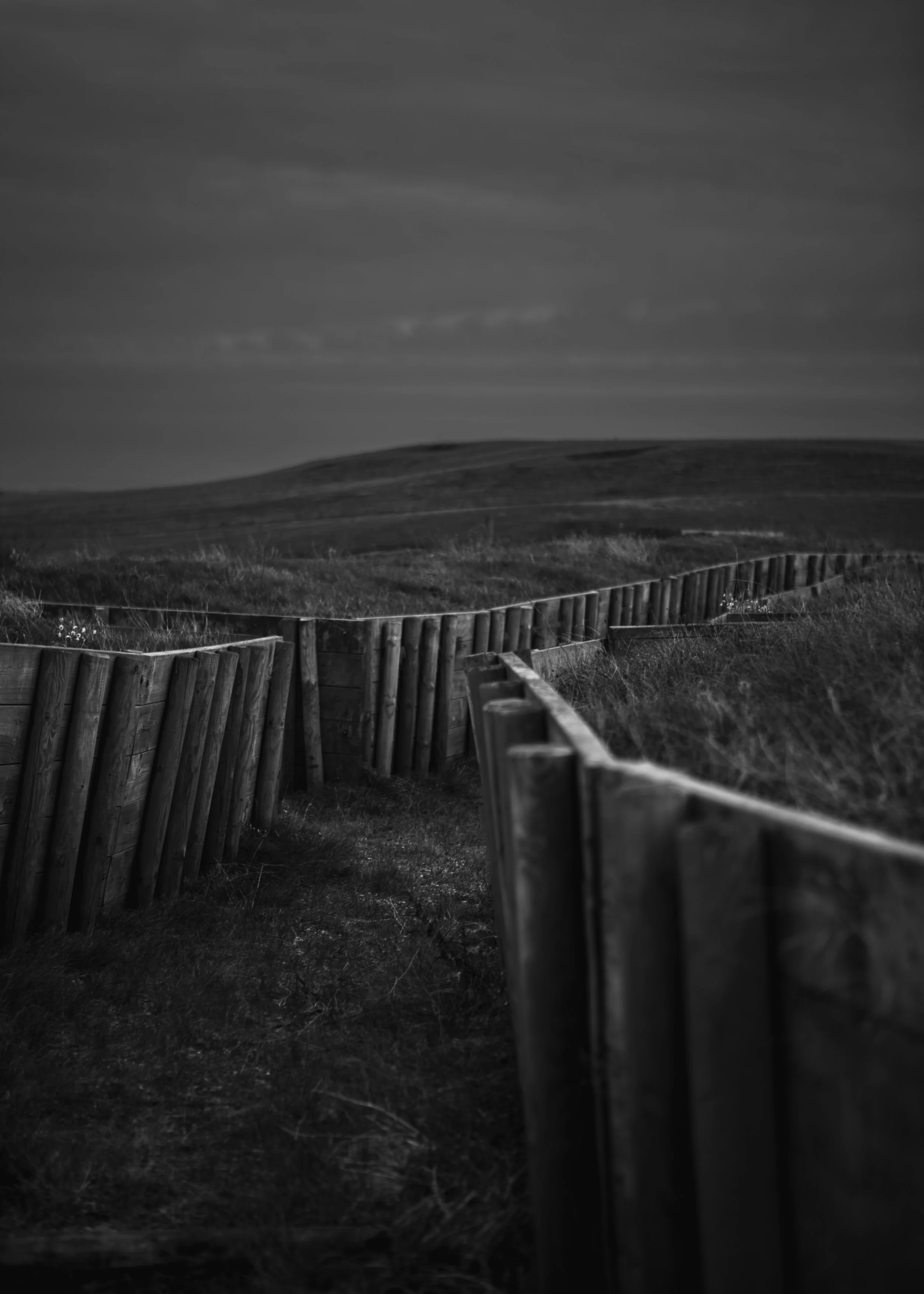 foto Una Billgren-7363.jpg