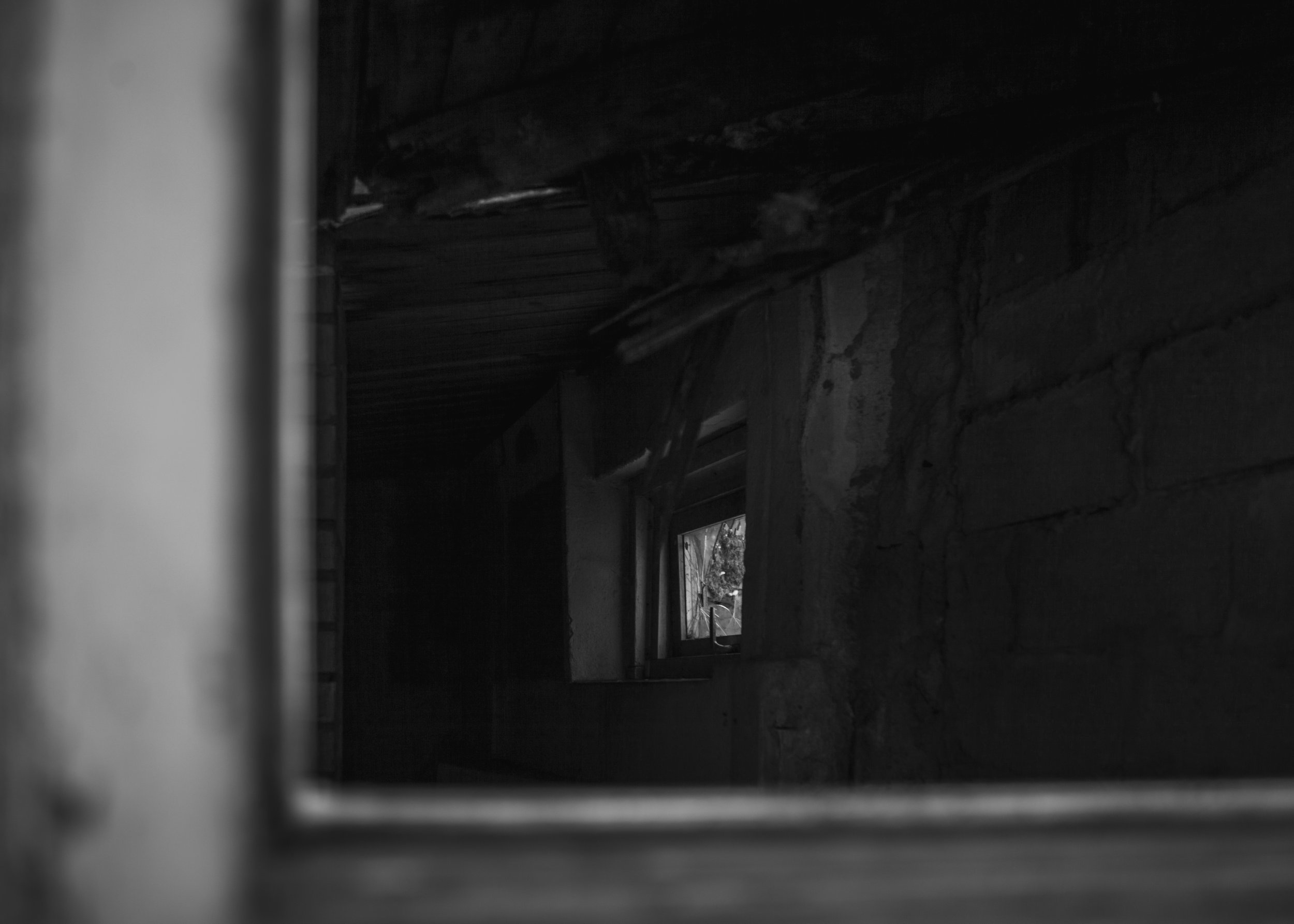 foto Una Billgren-7533.jpg