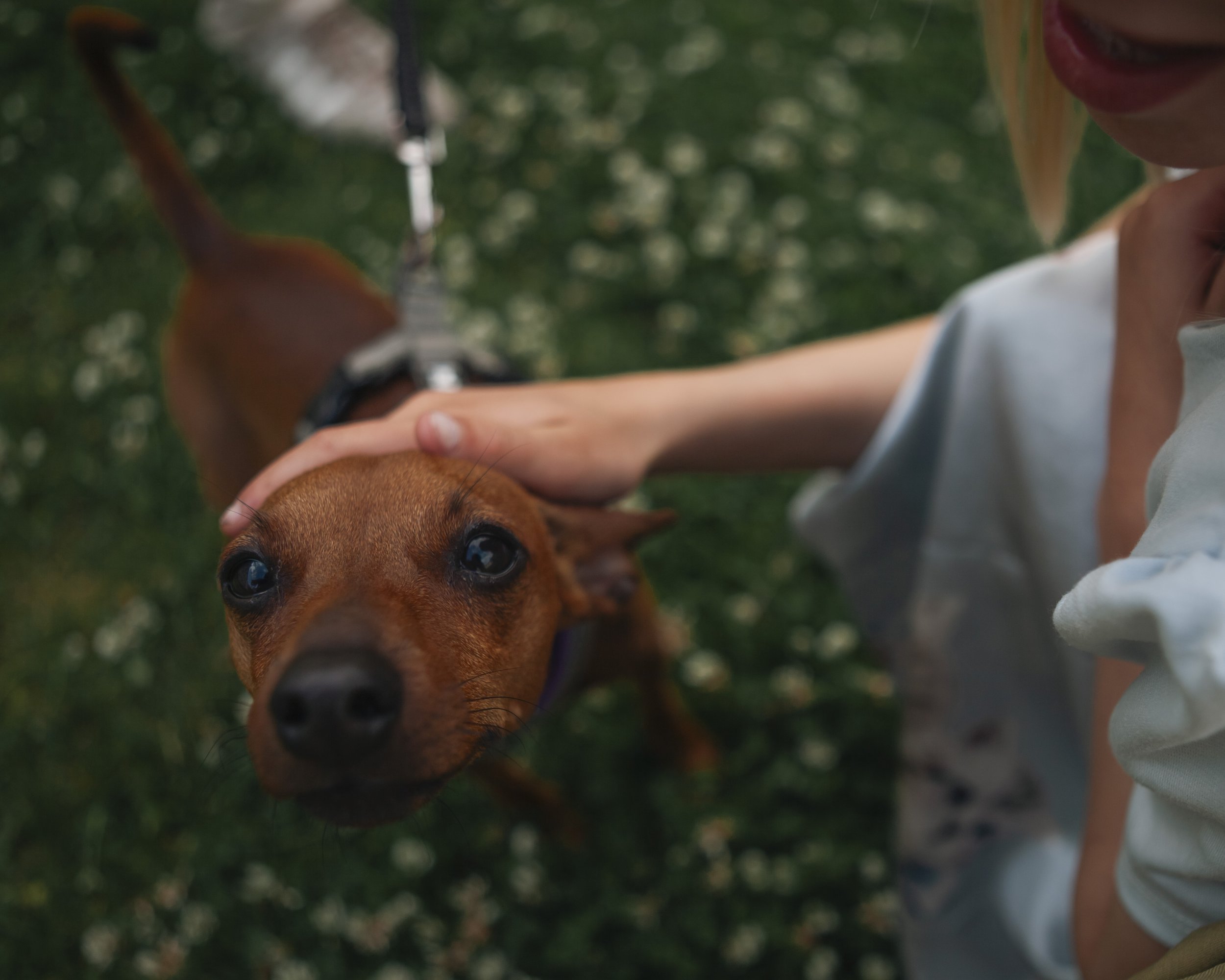 Tor och Erik 25 år_UnaBillgren-5991.jpg