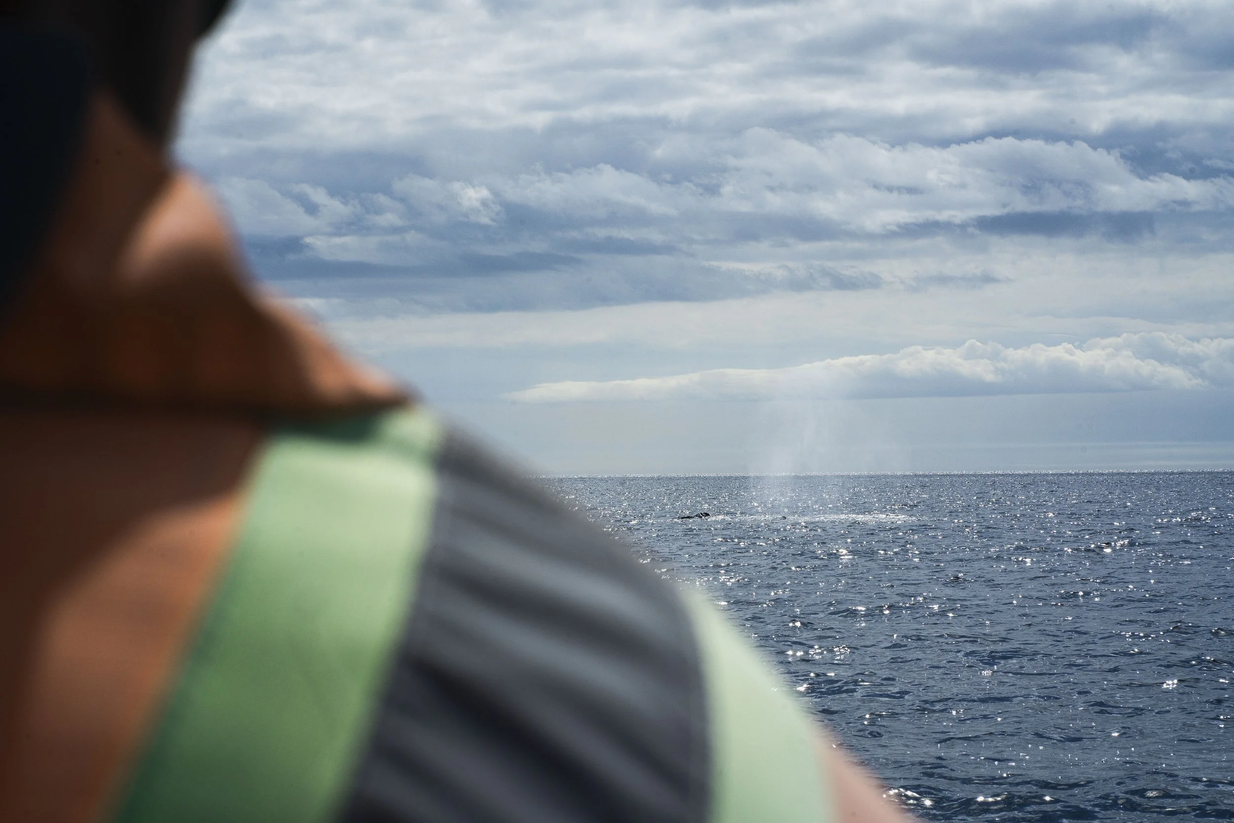 boatview.jpg