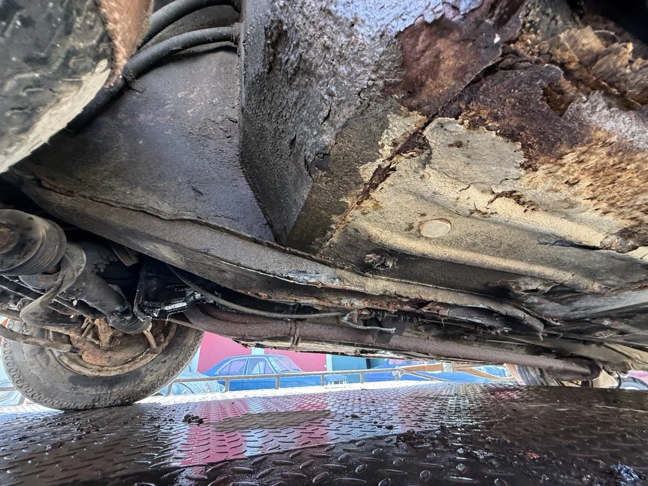 IMG_3486 – grande.jpeg