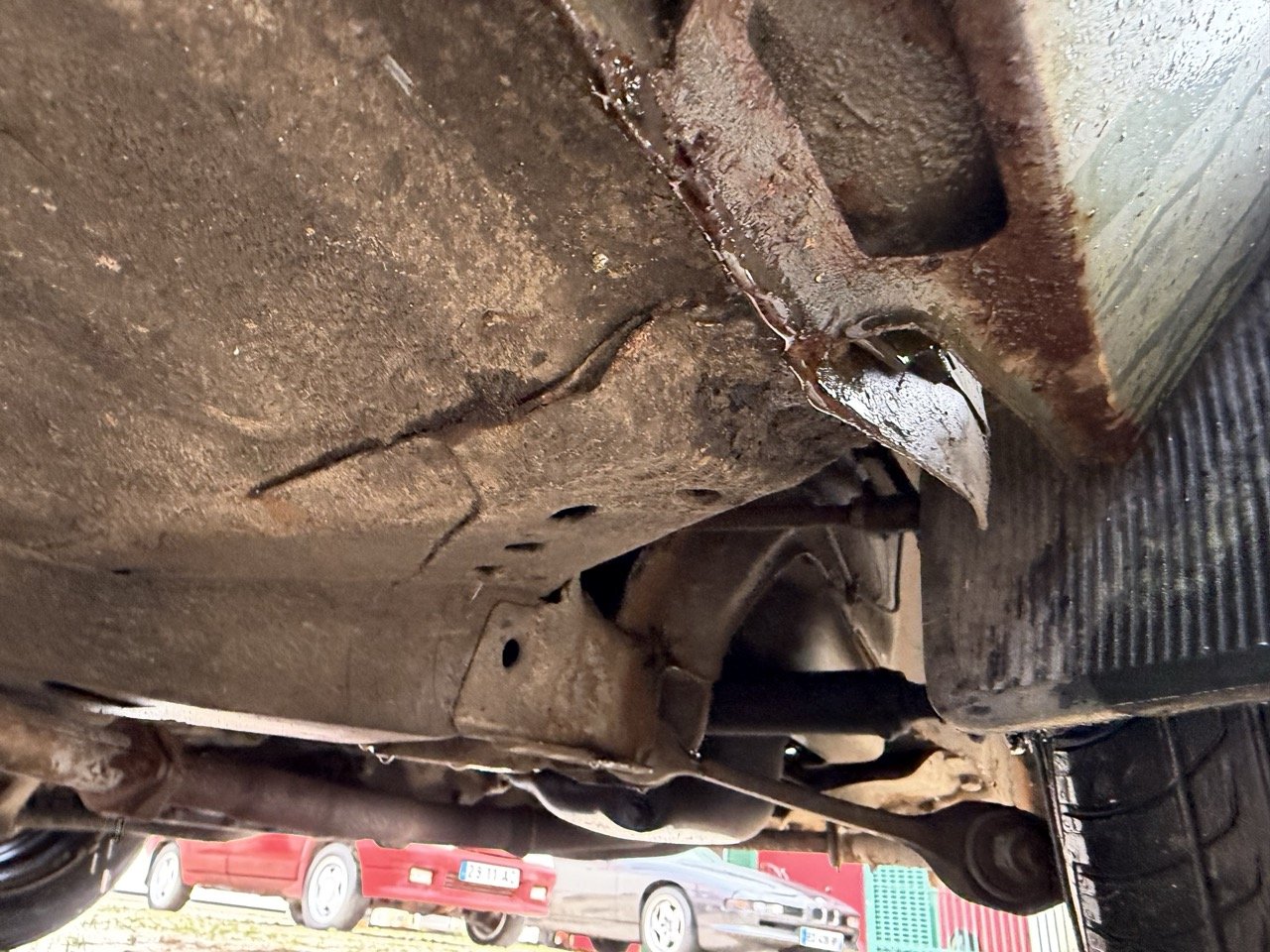 IMG_0650 – grande.jpeg