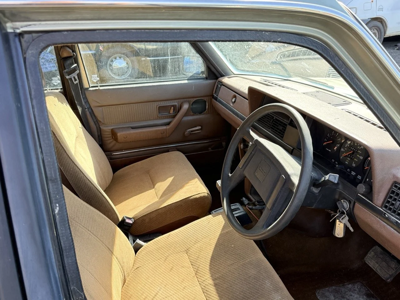 IMG_1151 – grande.jpeg