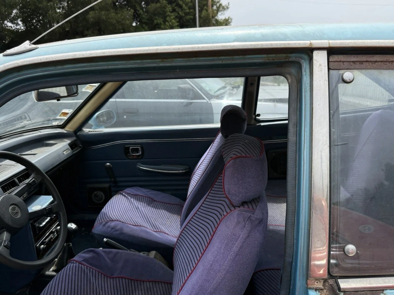 IMG_1524 – grande.jpeg