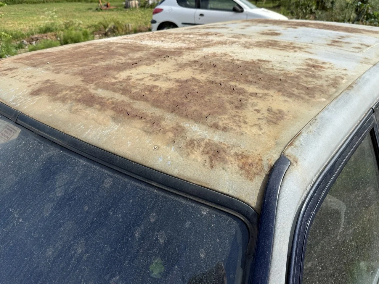 IMG_3409 – grande.jpeg