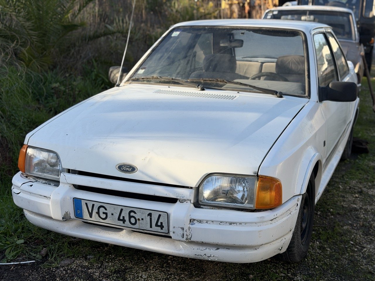 IMG_4088 – grande.jpeg