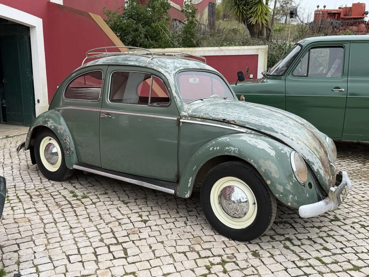 IMG_1108 – grande.jpeg