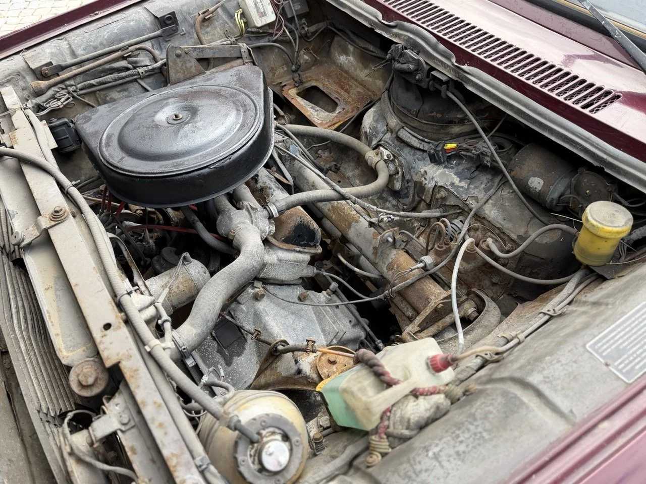 IMG_4908 – grande.jpeg