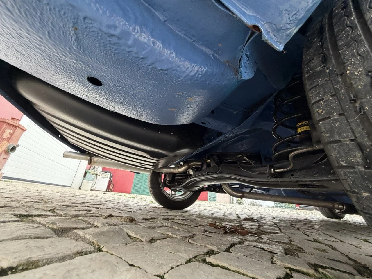 IMG_6126 – grande.jpeg