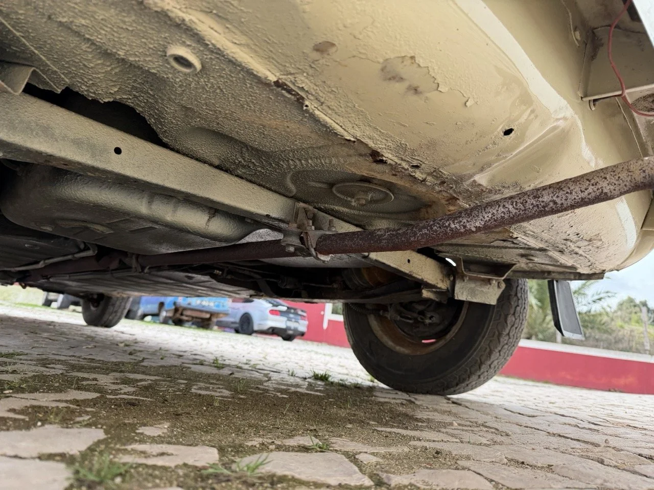 IMG_4110 – grande.jpeg