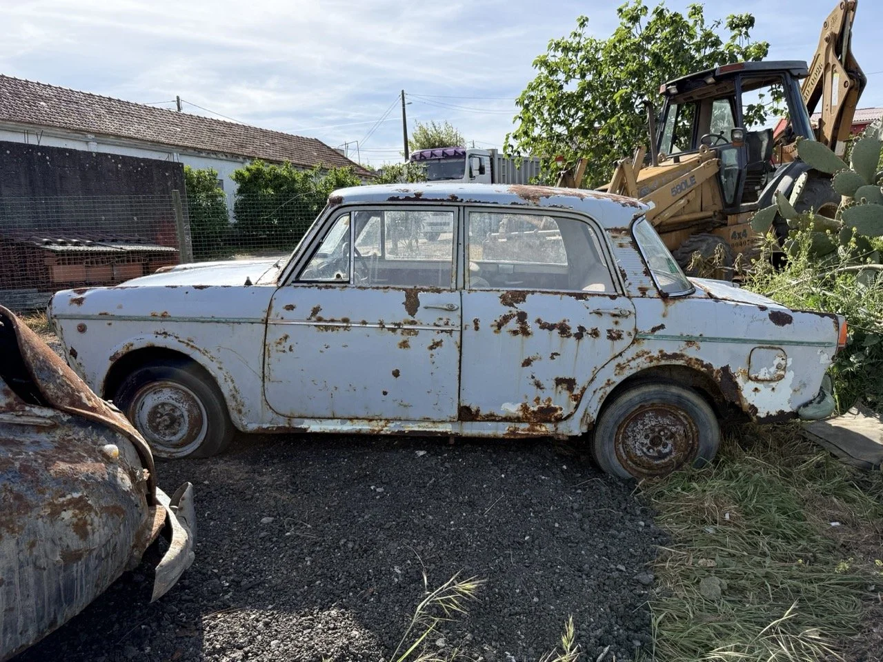 IMG_0481 – grande.jpeg