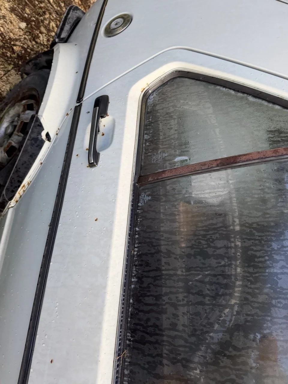 IMG_5189 – grande.jpeg