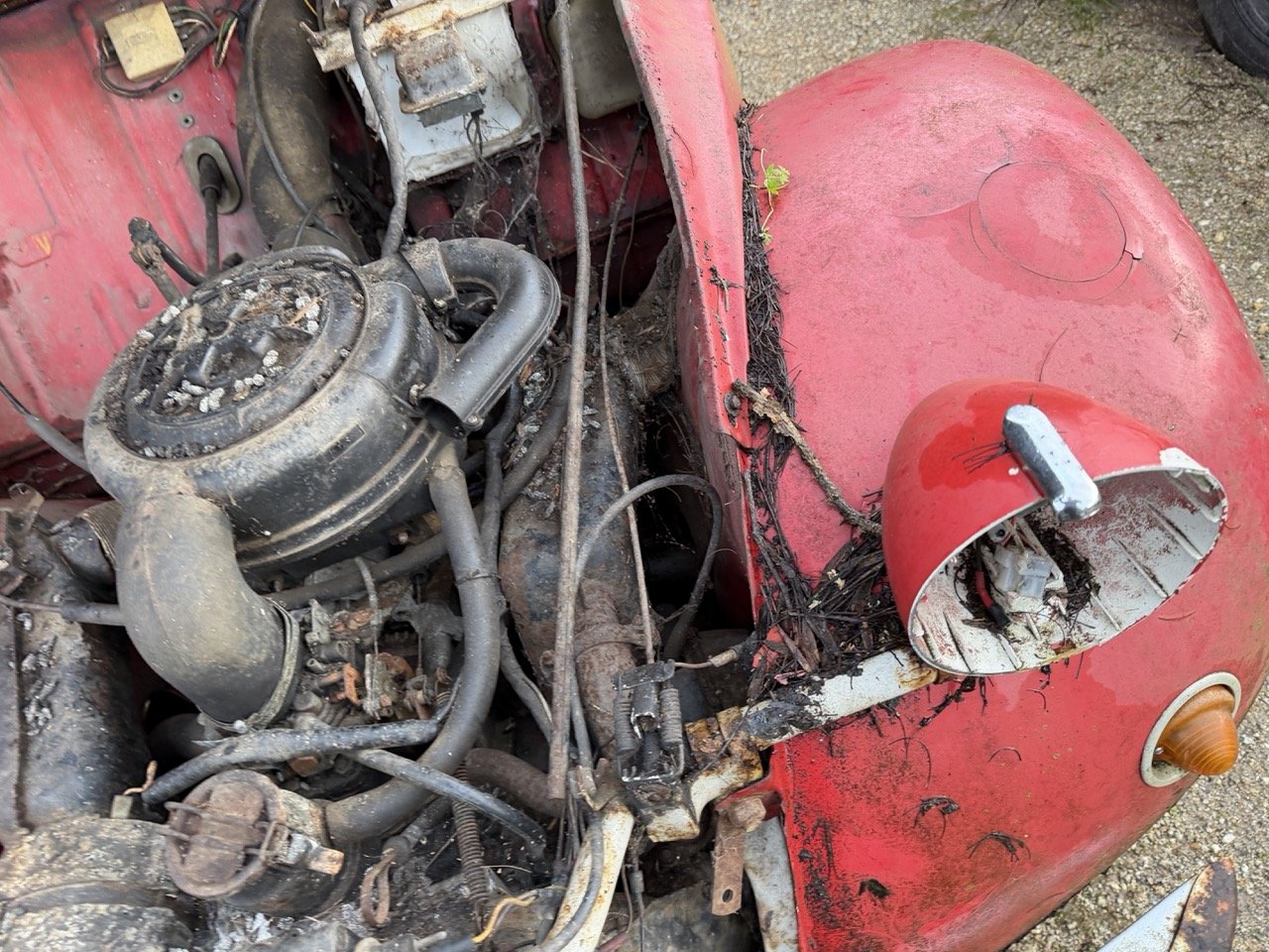 IMG_5523 – grande.jpeg